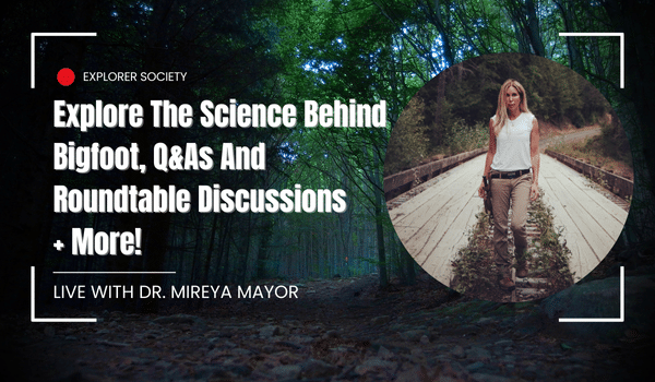 Explorer Society Events: Live Streams & Replays 21