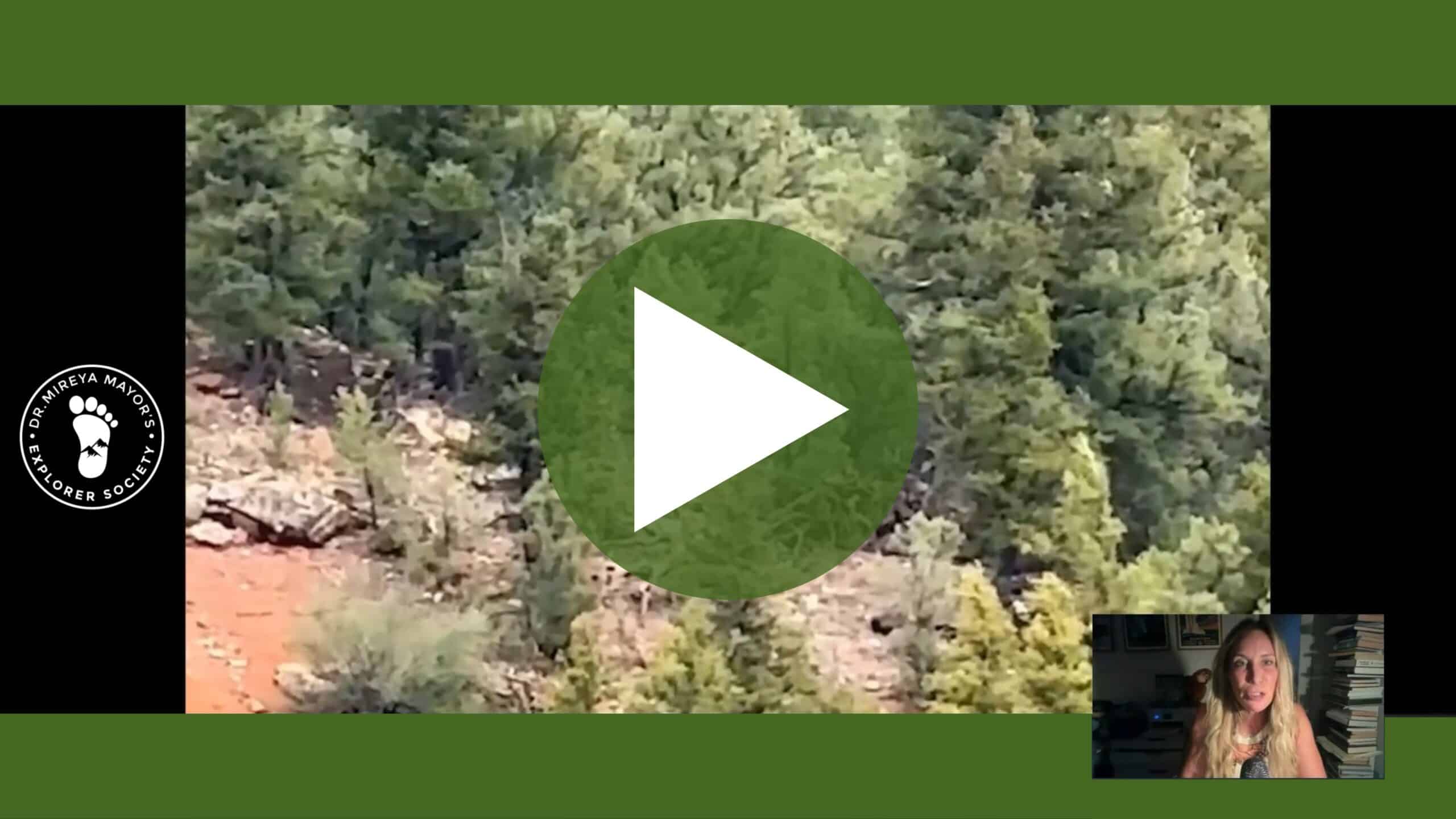 Debunking the Viral Bigfoot Video with Dr. Mireya Mayor