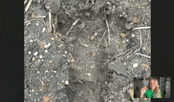 Bigfoot footprint from the  recent Ohio sightings